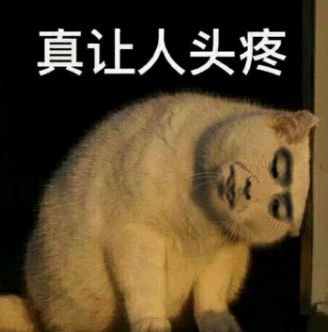 0奢侈品奇葩商品为何越骂越疯狂？ag旗舰厅注册1元发卡卖到270(图21)